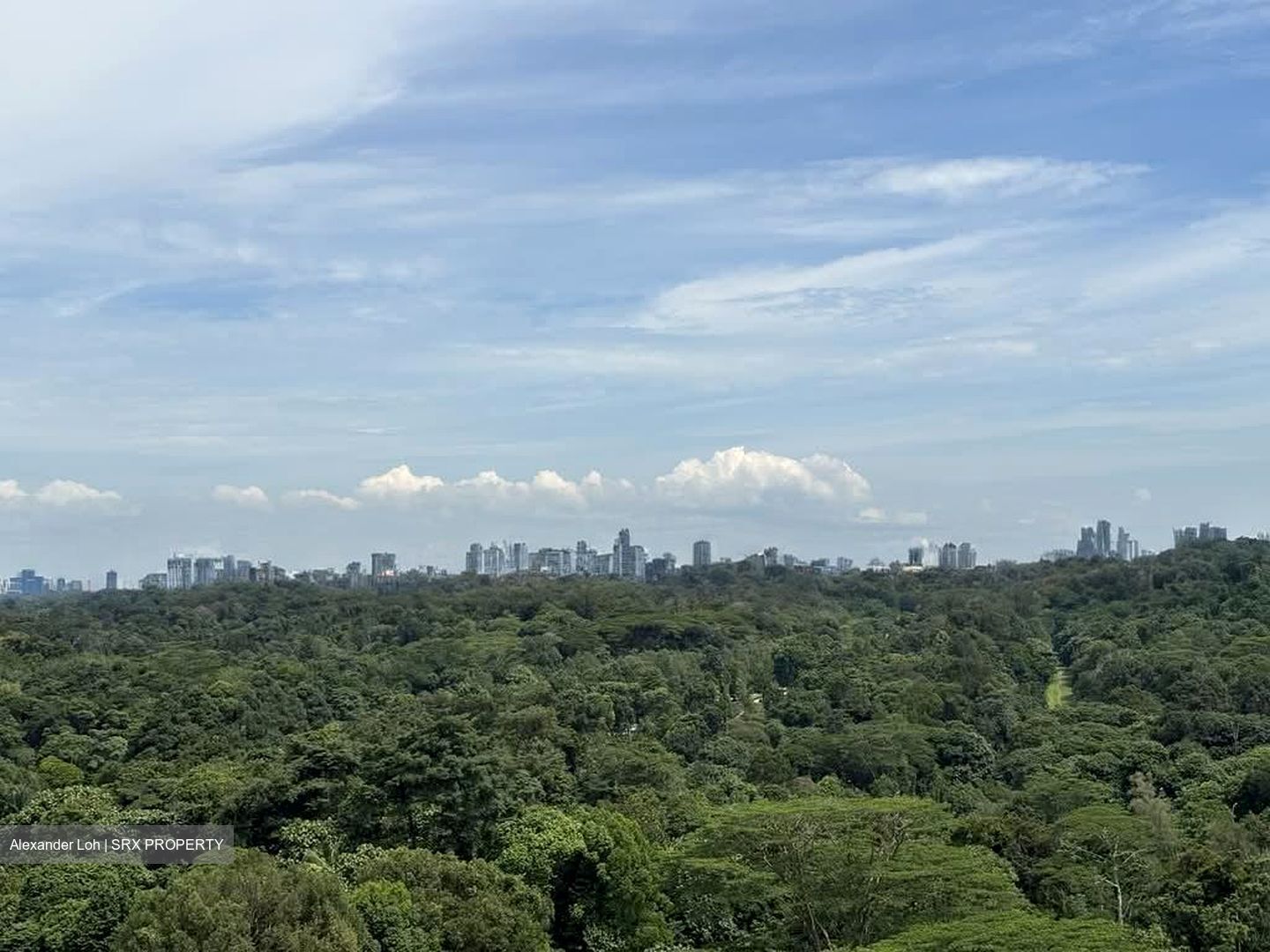 Foresque Residences (D23), Condominium #531183121